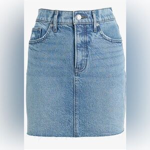 Express High Waisted Raw Denim Mini Skirt
